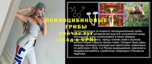 Альфа ПВП Бугульма