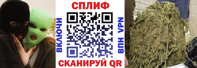 Канабис сатива  blacksprut сайт  Венёв 